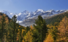 006 - berninagruppe im herbst